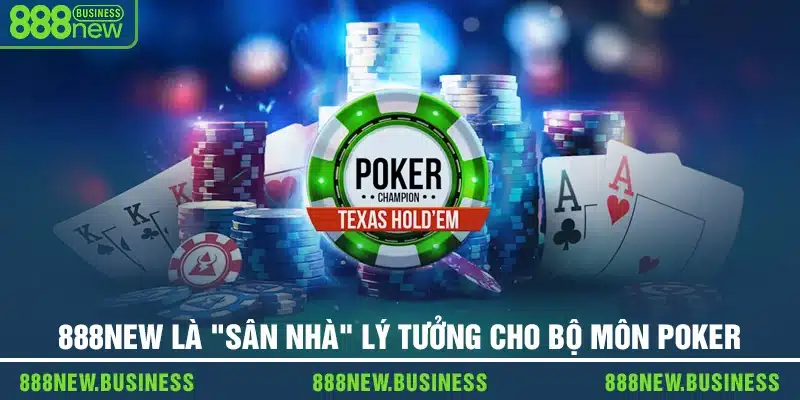 Tại sao 888new là "sân nhà" lý tưởng cho bộ môn này?